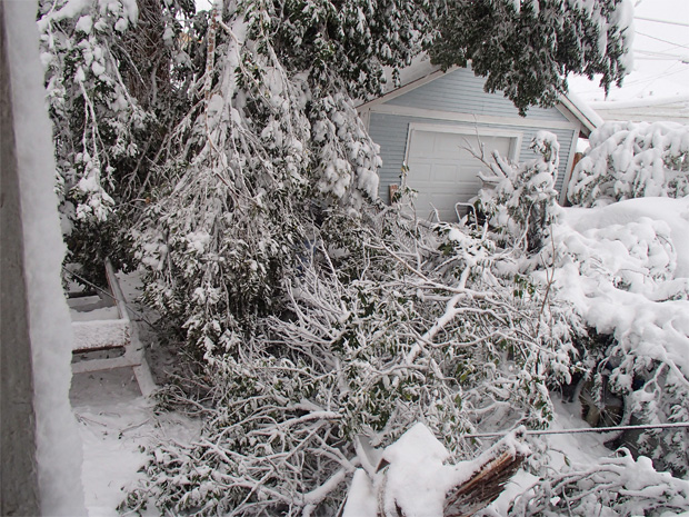 Winter Storm Atlas